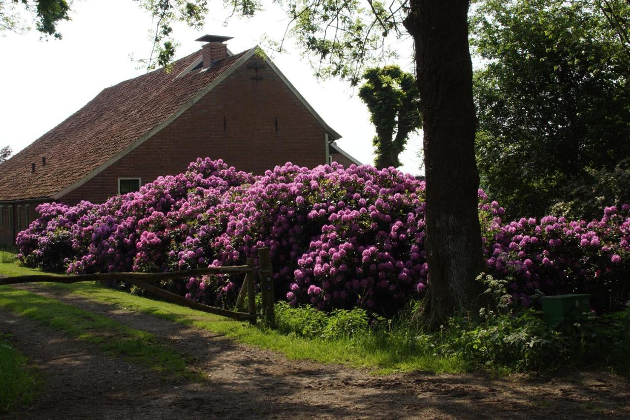 Huis Eedingh Onstwedde Exterior foto